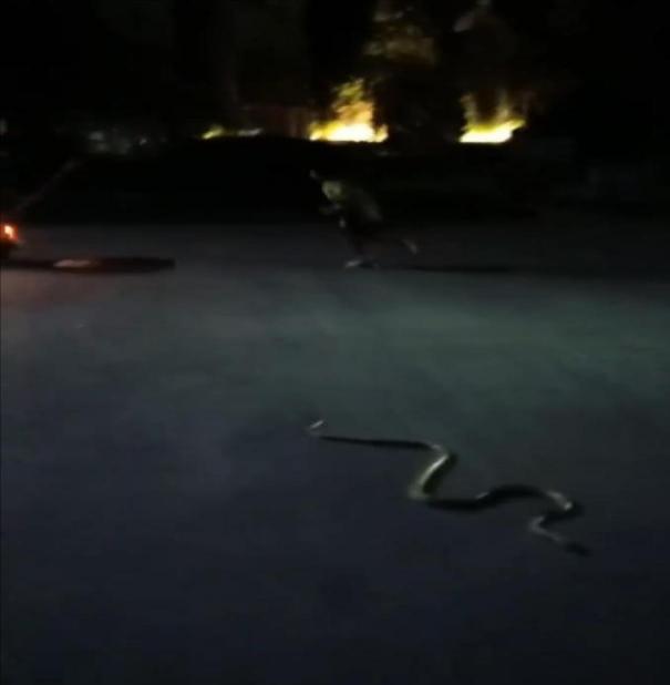 英国上市公司365