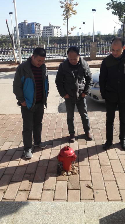 英国上市公司365