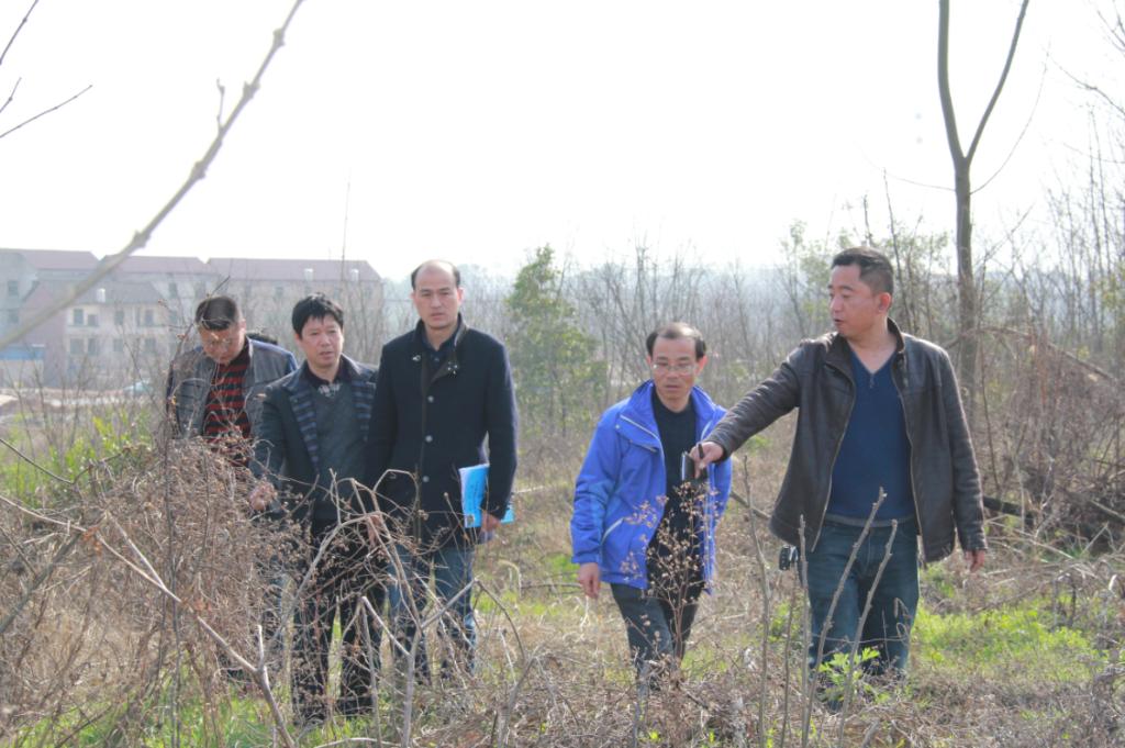 英国上市公司365