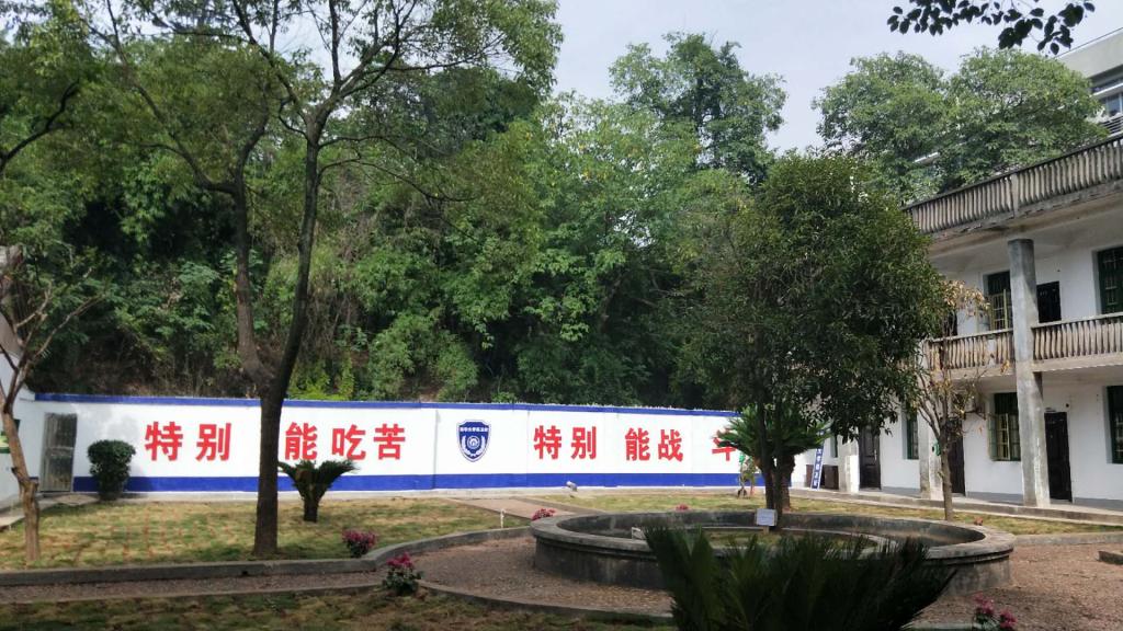 英国上市公司365