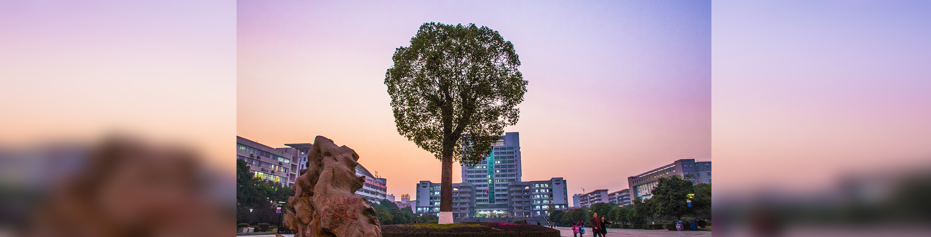 英国上市公司365